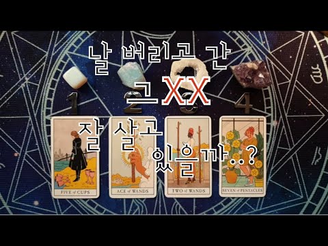 타로- 날 버리고 간 그XX.. 잘 살고 있을까..?