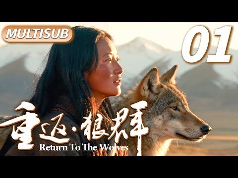 𝐑𝐞𝐭𝐮𝐫𝐧 𝐓𝐨 𝐓𝐡𝐞 𝐖𝐨𝐥𝐯𝐞𝐬▶Artist raises a wolf son! The bond between human and wolves moved millions!