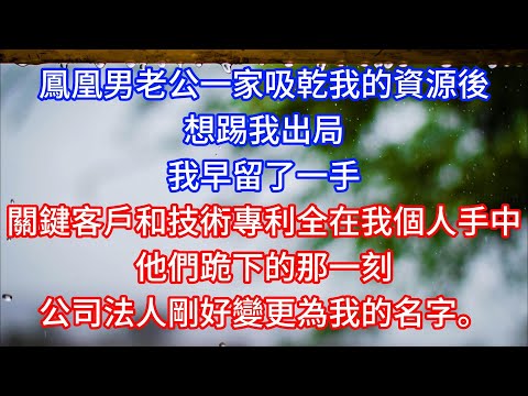 鳳凰男老公一家吸乾我的資源後，想踢我出局。我早留了一手，關鍵客戶和技術專利全在我個人手中。他們跪下的那一刻，公司法人剛好變更為我的名字。#言情故事#情感故事#家庭故事#小說#戀愛#婚姻