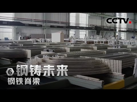 中国突破瓶颈！核电机组的“血管壁”只有半个硬币厚 「钢铁脊梁」第六集 | CCTV财经