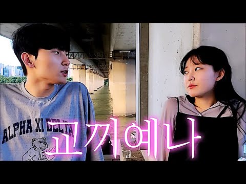 교끼예나 한강에서 데이트 목격