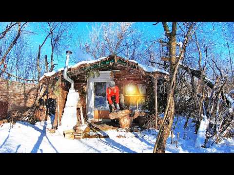 My Simple Life in a Small Reed Hut | Frosts, Feeding the Birds