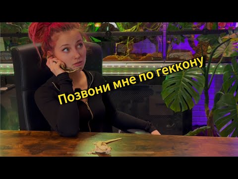 У гекконов тоже есть ресницы/ Что нужно знать о реснитчатом бананоеде