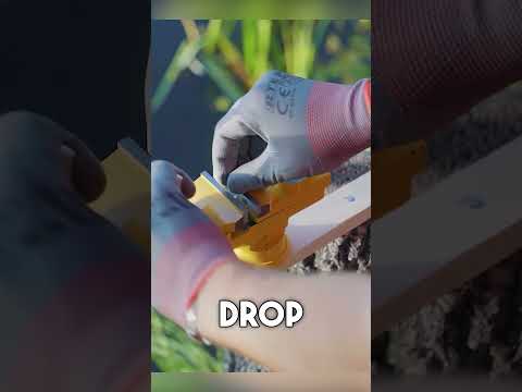 PRINCE RUPERT’S DROPS VS HAMMER