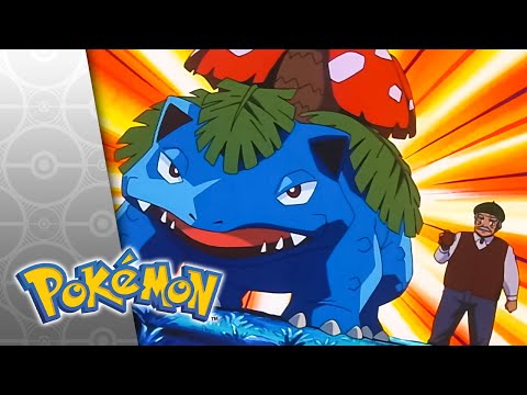 The Light Fantastic | POKÉMON FULL EPISODE 28 | Season 4