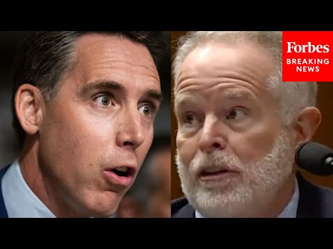 Josh Hawley Lambasts Witness For 'Absolutely Absurd' Statement