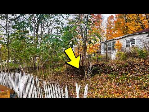 He Paid 10 Companies. None Came Back. What We Found Left Us Speechless