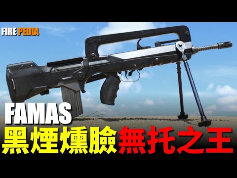 The Only French Assault Rifle:FAMAS