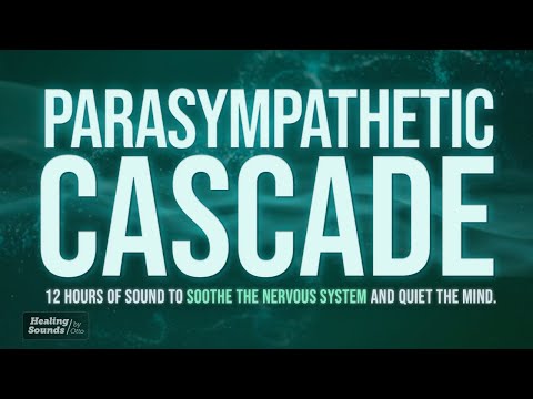 Parasympathetic Cascade 🌿 | 12 HOURS + BLACK SCREEN | Deep Nervous System Reset Sound