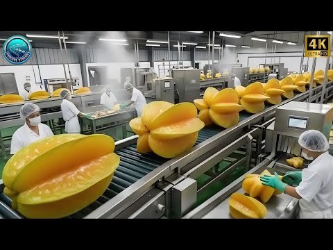 Inside a Modern Starfruit Factory: From Raw Starfruits to Clear Tropical Syrup (Full Process)