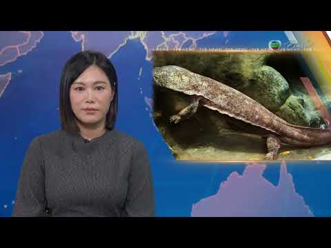 TVB News | December 16, 2025 | Mandarin 4:15 News