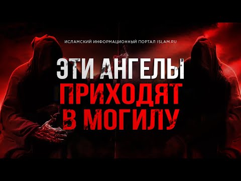 Эти ангелы приходят в могилу