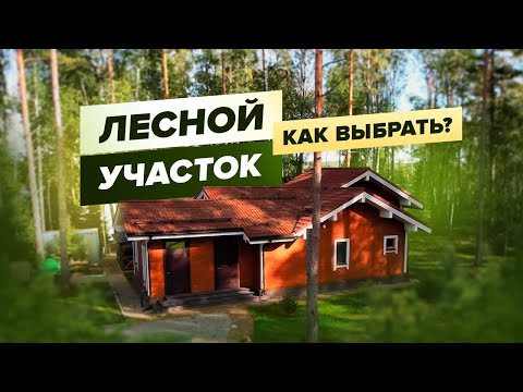 Как выбрать лесной участок для загородного дома