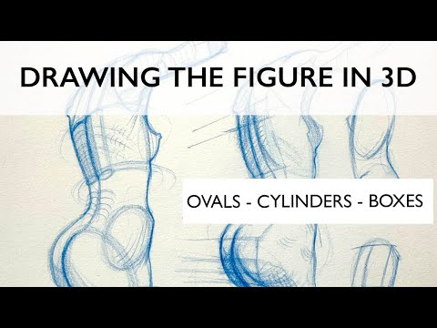 How to draw the figure three dimensionally combining ovals, cylinders and boxes.