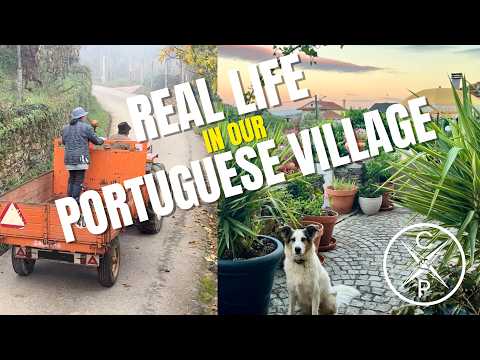 Our Life in a Portuguese Village: The Good, the Quirky & the Peaceful