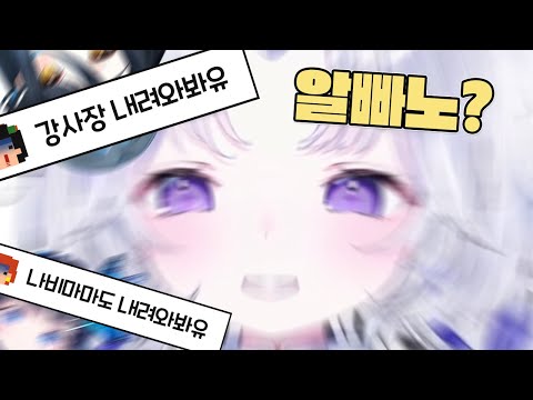 Korean patch incorrect Stella Live Uni debut
