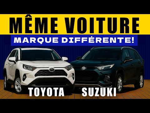 Voitures Clonées : Identiques, mais l'une coûte Beaucoup moins cher 💰