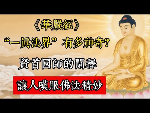 《華嚴經》“一真法界”有多神奇？賢首國師的闡釋，讓人嘆服佛法精妙。#佛教 #佛家 #佛法 #佛學知識 #佛學智慧 #修心修行 #佛教文化 #禪悟人生