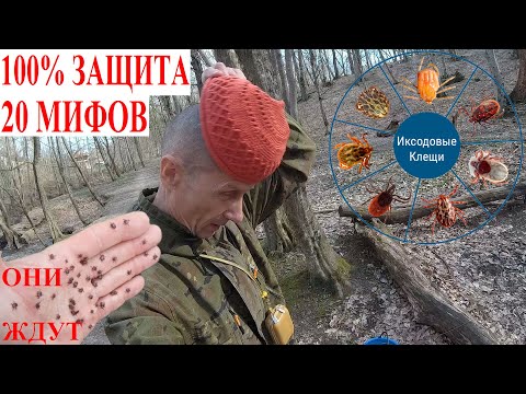 🔴 Клещей Валом❣️ Рекордный 2025г Мощная 100% Защита от Клещей  Народные Средства🏕 20 Мифов о Клещах