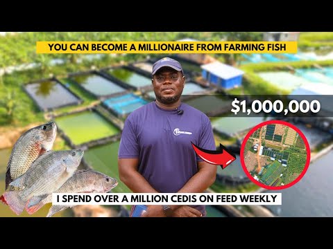How this Ghanaian man built the biggest Fish farm in Ghana