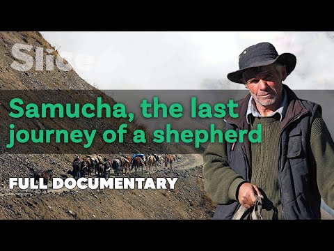 Samucha, the last journey a shepherd | SLICE | Full documentary