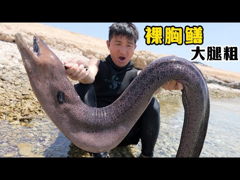 《埃及·红海》第1集:飞越千里!绞尽脑汁!只为挑战不可能之比我大腿还粗的裸胸鳝!#赶海 #挑战不可能 #潜水 #抓龙虾 #红海