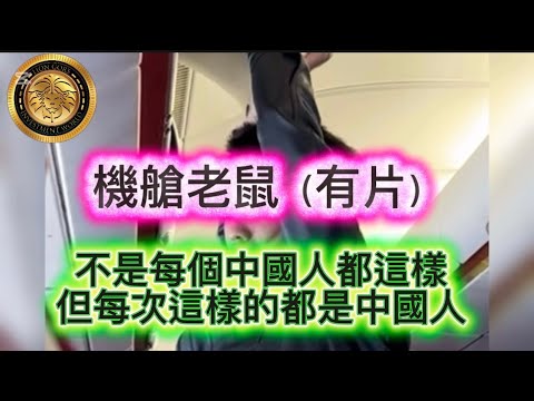 12.12 機艙老鼠（有片）｜不是每個中國人都是這樣，但每次這樣的都是中國人！