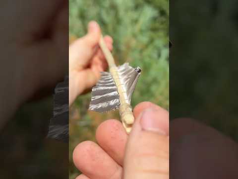 Primitive Hunting Arrows, part 2 #outdoors #camping #hunting #archery #survival #traditional