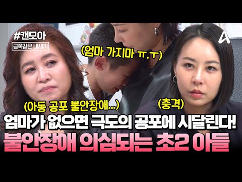 [#캔모아] "엄마가 없으면 불안해 죽을 것 같아😭" 원인 모를 불안으로 일상이 두려운 초2 아들...💔 | 금쪽같은 내새끼 250회