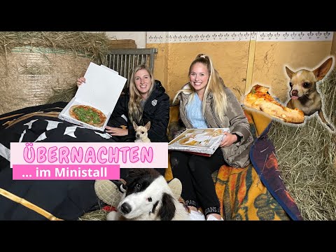 ÜBERNACHTEN im Ministall & Spieleabend!😍😍