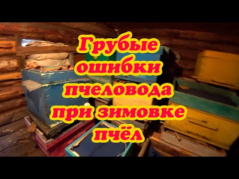ГРУБЫЕ ОШИБКИ ПЧЕЛОВОДА ПРИ ЗИМОВКЕ ПЧЁЛ.