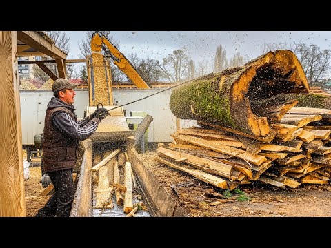 MEGA Addictive Wood Shredding in an Insatiable Grinder