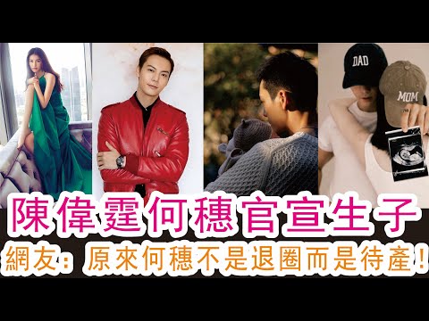 陳偉霆何穗官宣生子，網友：原來何穗不是退圈而是待產！