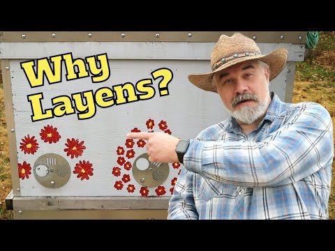 Why I Prefer the Layens Beehive (and you might, too)