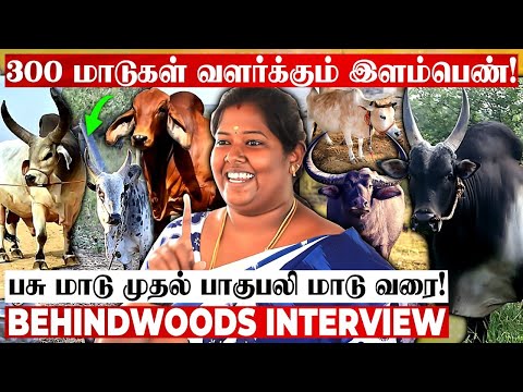 300 நாட்டு மாடுகளுக்கு தாயான இளம்பெண்! மாடு வளர்ப்பில் இவ்ளோ லாபமா🤩 வியக்கவைக்கும் பேட்டி