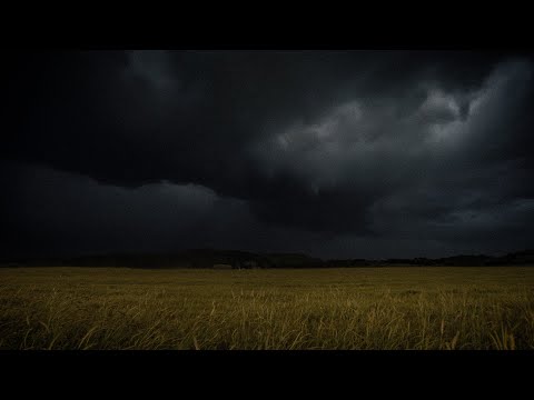 Fall Thunderstorm over the Hometown Field | Cold Wind & Distant Thunders | 3 HOURS