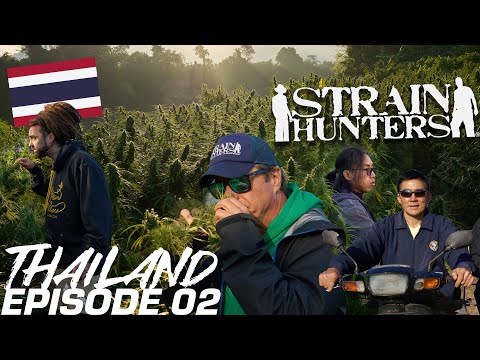 Strain Hunters: Thailand Expedition Episode 02