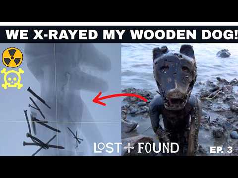 We X-Rayed My Wooden Dog w Nails in His Back.Watch This Video & Fall In Love.w/@ThamesFestivalTrust 