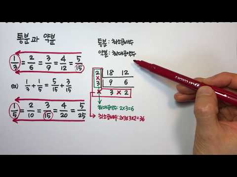 통분하는 법 / 약분하는 법 (초등수학)