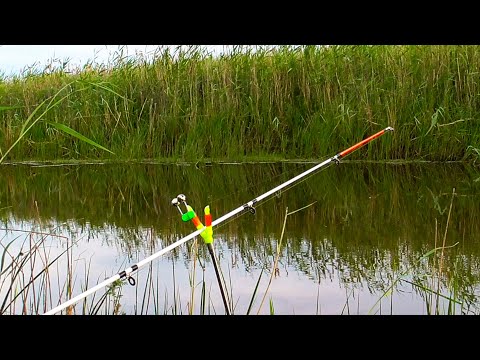 Лапти КАРАСИ на ПРОСТУЮ ДОНКУ КРОКОДИЛ!! Рекорд ПОБИТ!! Рыбалка с НОЧЁВКОЙ в ДИЧАЙШИХ МЕСТАХ!!