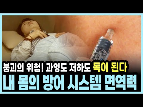 암 위험 높이는 '면역력 저하'부터 류마티스 유발 과잉 면역까지, 딱 중간을 찾는 비결 I KBS 20170423 방송