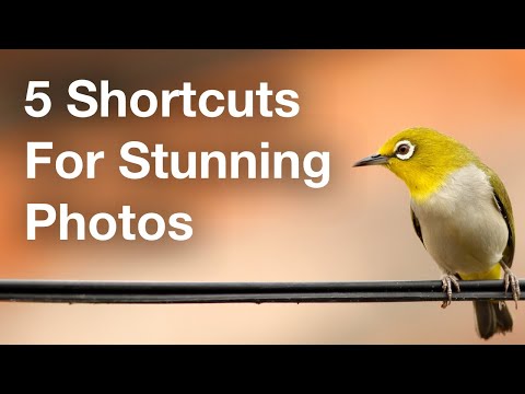 5 Shortcuts To Take Your Photos To The Next Level