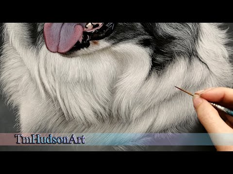 How to paint realistic white fur in acrylic step by step