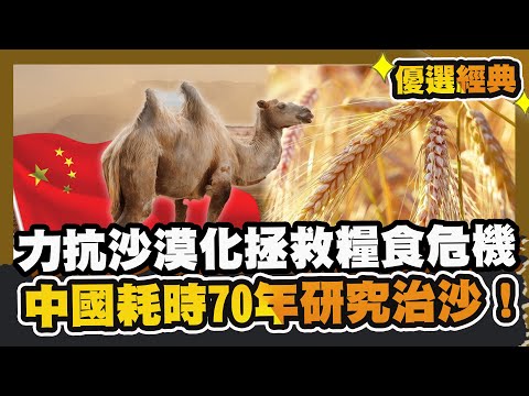 力抗沙漠化！拯救糧食危機 中國耗時70年研究治沙！ #優選經典【沙漠變綠洲-中國的秘訣】#完整版#沙漠化#糧食危機#中國