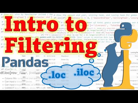 Intro to Data Filtering | .loc & .iloc | Pandas (Python) | Data Analyst Skill Tutorial #6