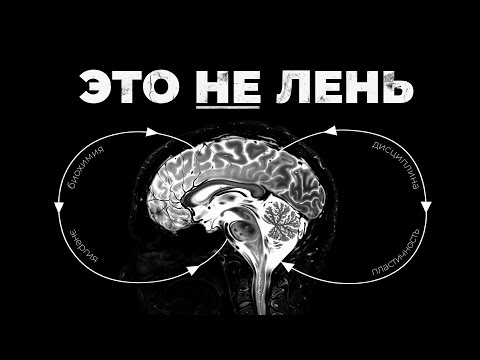 How to make your brain WANT challenges