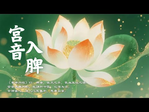 Spleen Healing Gong Tone｜Earth Element Meditation Music for Balance, Relaxation & Inner Peace