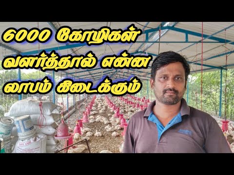 Broiler chicken forming business| கோழி பண்ணையில் உள்ள ரகசியங்கள் |  | தமிழர் நிலம்.
