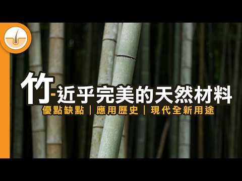 竹的優點缺點｜人類應用歷史｜現代的全新用途 (繁中字幕)