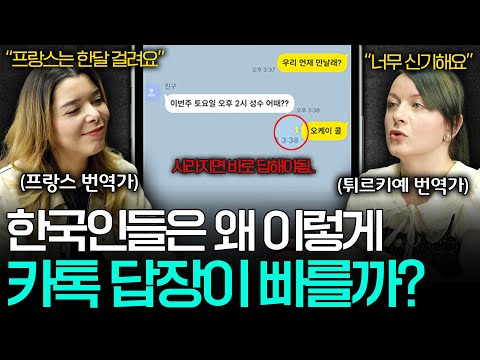 한국인들 연락 속도에 정신이 혼미해지는 외국인들ㅣ세상을 번역하다📖 EP.28